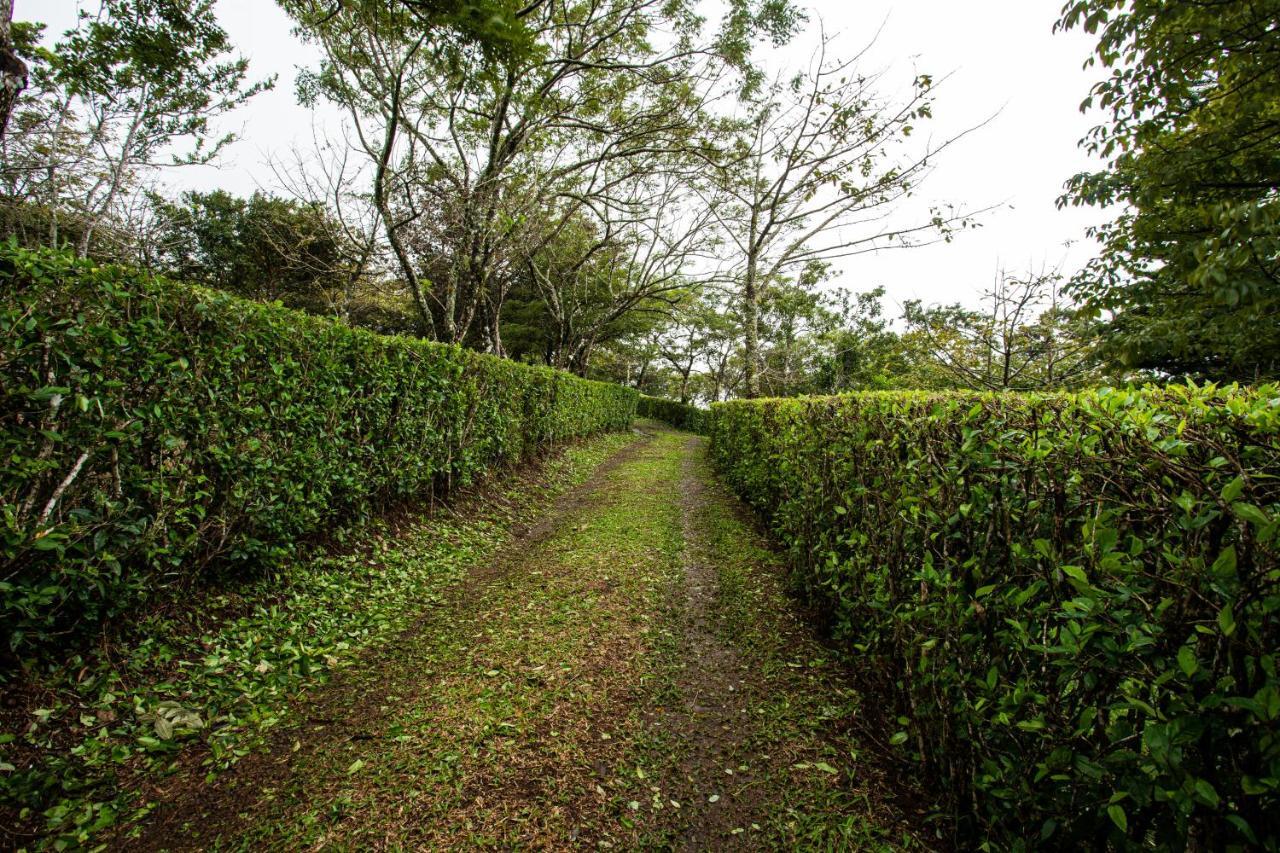 Pochote Lodge Guayabo  Exterior foto